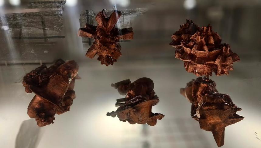 Copper-plated organisms
